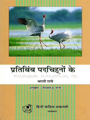 प्रतिबिंब पदचिह्नों के- Pratibimb Padchinho Ke (A Collection of Travel Essays)