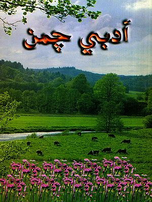 ادبي چمن: Adabi Chaman-2003- Annual Literary Journal (Sindhi)