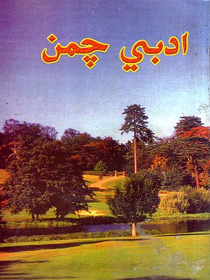 ادبي چمن: Adabi Chaman-2001-2002: Annual Literary Journal (Sindhi)