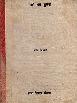 ਜਦੋਂ ਮੋਰ ਕੂਕਦੇ: Jadon More Kookde- Novel (An Old and Rare Book in Punjabi)