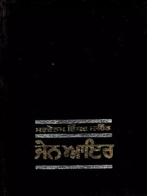 ਜੇਨ ਆਇਰ: Jane Eyre- Novel (An Old and Rare Book in Punjabi)