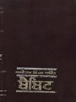 ਬੈਬਿਟ: Babbitt- Novel (An Old and Rare Book in Punjabi)