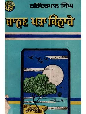 ਚਾਨਣ ਖੜ੍ਹਾ ਕਿਨਾਰੇ: Chanan Khara Kinnare in Punjabi (An Old and Rare Book)