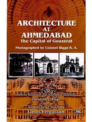 Architecture at Ahmedabad the Capital of Goozerat Photographed by Colonel Biggs R.A.