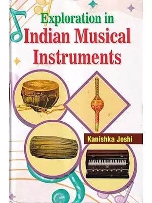 Exploration in Indian Musical Instruments