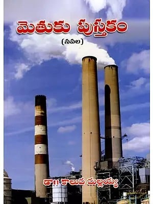 మెతుకు పుస్తకం: Methuka Pusthakam in Telugu (Novel)