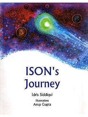 Ison's Journey