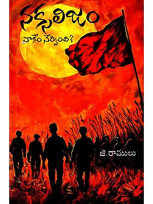 నక్సలిజం నాకేం నేర్పింది?: Naxalism- Naakem Nerpindi? (Telugu)