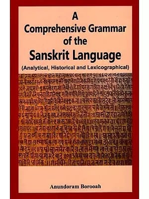 A Comprehensive Grammar of the Sanskrit Language (Analytical, Historical and Lexicographical)