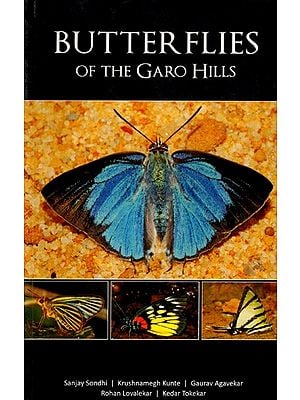 Butterflies of the Garo Hills (An Old and Rare Book)