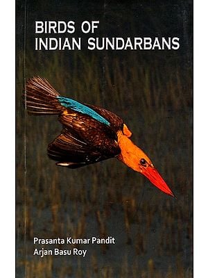 Birds of Indian Sundarbans