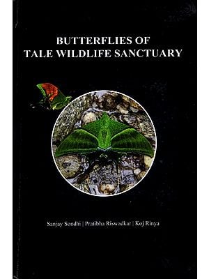 Butterflies of Tale Wildlife Sanctuary