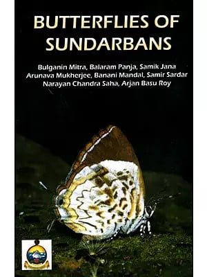 Butterflies of Sundarbans