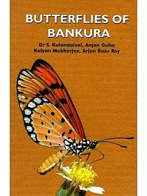 Butterflies of Bankura