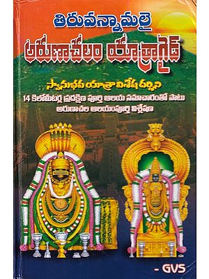 తిరువన్నామలై అరుణాచలం యాత్రాగైడ్- Tiruvannamalai Arunachalam Travel Guide: Swanubhav Yatra Special Darsini 14 km Circumambulation Complete Temple Information Along with Arunachala Temple Full Analysis (Telugu)