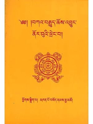 ༄༅། །བཀའ་བརྒྱུད་ཆོས་འབྱུང་ ནོར་བུའི་ཕྲེང་བ།- Bka' Brgyud Chos 'Byung Nor Bu'i Phreng Ba (Tibetan)