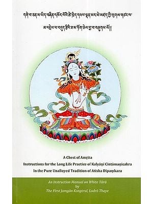 དགེ་བ་ཅན་མ་ཡིད་བཞིན་འཁོར་ལོའི་ཚེ་ཁྲིད་དཔལ་ལྡན་མར་མེ་མཛད་ཀྱི་ལུགས་གཙང་ལ་ མ་འདྲེས་པ་བདུད་རྩིའི་ཟ་མ་ཏོག་ཅེས་བྱ་བ་བཞུགས་སོ།།- A Chest of Amrita Instructions for the Long Life Practice of Kalyani CintamaniCakra (Tibetan)