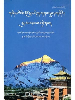 གཞིས་རྩེའི་ལོ་རྒྱུས་རིག་གནས་དཔྱད་གཞིའི་ རྒྱུ་ཆ་བདམས་བསྒྲིགས།- Selected Materials for Historical and Cultural Research in Shigatse (Tibetan)