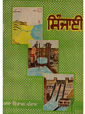 ਸਿੰਜਾਈ: Irrigation (Punjabi)- An Old and Rare Book