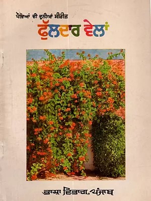 ਫੁੱਲਦਾਰ ਵੇਲਾਂ: Phuldar Wailan (Punjabi) - An Old and Rare Book