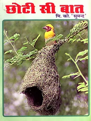 छोटी सी बात: Chhoti Si Baat