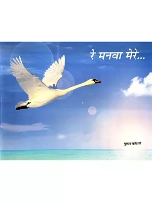 रे मनवा मेरे: Re Manva Mere