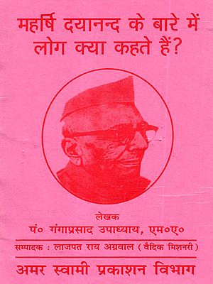 महर्षि दयानन्द के बारे में लोग क्या कहते हैं?: Maharishi Dayanand Ke Baare Mein Log Kya Kahate Hain?