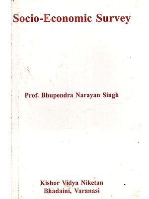 Socio-Economic Survey