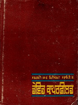 ਡੇਵਿਡ ਕਾਪਰਫ਼ੀਲਡ: David Copperfield- Novel (Volume 2 in Punjabi) An Old and Rare Book