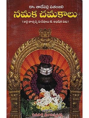 నమక చమకాలు? (అర్థ తాత్పర్య విశేషాలు & అభిషేక విధి)- Namaka Chamakalu: Meaning, Significance, Features & Abhishekam (Telugu)