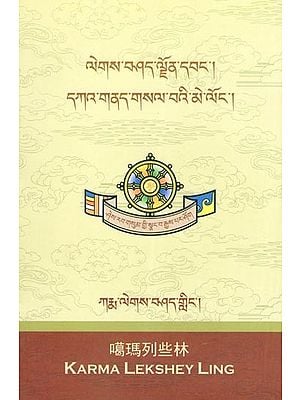 ལེགས་བཤད་ལྗོན་དབང་། དཀའ་གནད་གསལ་བའི་མེ་ལོང་།- Lekshad Jonwang: The Mirror of the Problem (Tibetan)