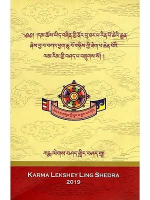 ༄༅། །དམ་ཆོས་ཡིད་བཞིན་གྱི་ནོར་བུ་ཐར་པ་རིན་པོ་ཆེའི་རྒྱན་ ཞེས་བྱ་བ་བཀའ་ཕྱག་ཆུ་བོ་གཉིས་ཀྱི་ཐེག་པ་ཆེན་པོའི་ ལམ་རིམ་གྱི་བཤད་པ་བཞུགས་སོ། །- Path of the Buddha is Given (Tibetan)