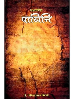 अक्षयनिधि- पाणिनि: Akshayanidhi- Panini