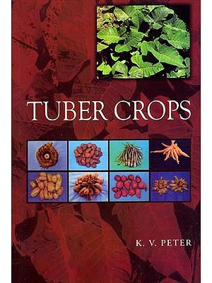 Tuber Crops