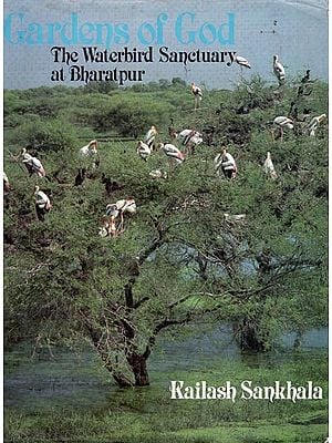 Gardens of God: The Waterbird Sanctuary at Bharatpur (An Old and Rare Book)