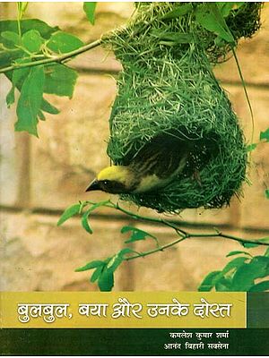 बुलबुल, बया और उनके दोस्त- Bulbul, Baya and Their Friends