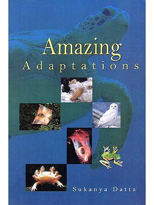 Amazing Adaptations