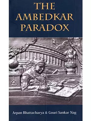 The Ambedkar Paradox
