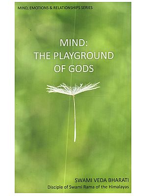 Mind: The Playground of Gods