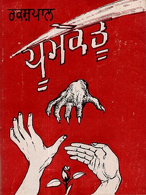 ਧੂਮਕੇਤੂ: Dhoom Ketu (A War Story- Named after the Peace Year 1986 and Halley's Comet) An Old and Rare Book in Punjabi (An Old and Rare Book)