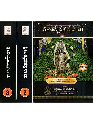 ಶ್ರೀವಿಷ್ಣುಸಹಸ್ರನಾಮ: Sri Vishnu Sahasranama in Kannada (Set of 3 Volumes)