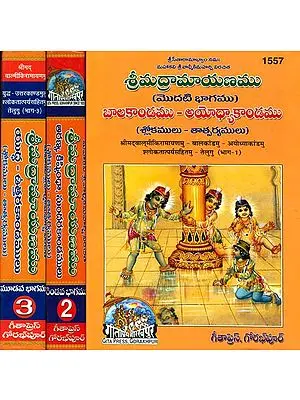 శ్రీమద్రామాయణము (బాలకాండము - అయోధ్యాకాండము): Complete Ramayana by Valmiki in Telugu (Set of 3 Volumes)