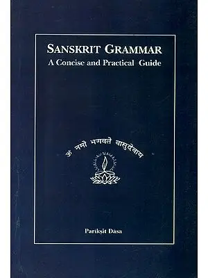Sanskrit Grammar: A Concise and Practical Guide
