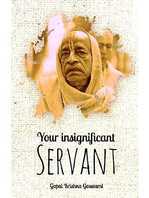 Your Insignificant Servant