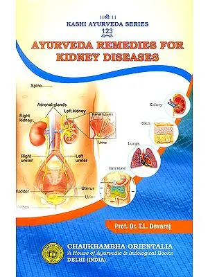 Ayurveda Remedies for Kidney Diseases
