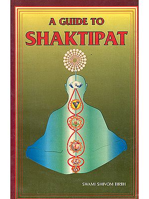 A Guide to Shaktipat