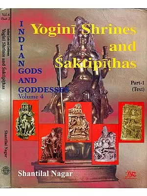 Yogini Shrines and Saktipithas (Set of 2 Volumes)