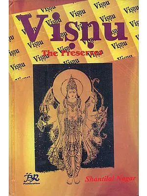 Visnu (The Preserver)