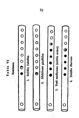 The Flute (With Notation) | Exotic India Art