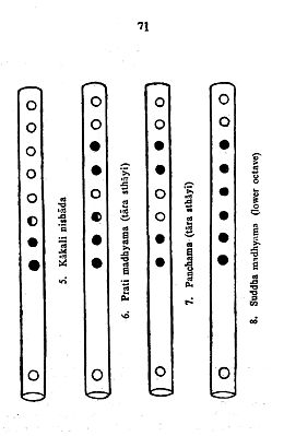 The Flute (With Notation) | Exotic India Art